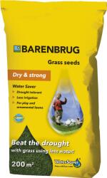 Barenbrug amestec de semințe pentru gazon Water Saver 5 kg U10018B (U10018B)