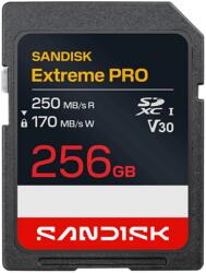 SanDisk SDXC Extreme Pro 256GB UHS-I (SDSDXXJ-256G-GSCIN)