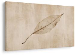 Dovido Tablou frunză delicată în tonuri bej - 40x30