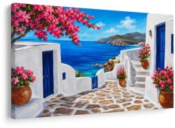 Dovido Tablou uliță de coastă cu flori roz - 150x100