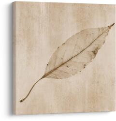 Dovido Tablou frunză minimalistă în stil sepia - 50x50