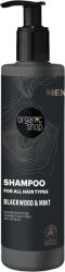 Organic Shop Sampon pentru barbati Blackwood & Mint, 280ml, Organic Shop