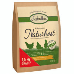 Lukullus 16, 5kg Lukullus hidegen sajtolt Naturkost száraz kutyatáp 15+1, 5kg ingyen