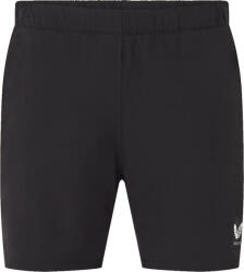 CASTORE 6 Short Winner Brief (mlm00026cas-a023)
