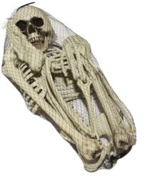  83 cm-es csontváz dekoráció halloweenre (HKS8557LDLK)