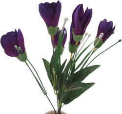 Selyemcsokor - Crocus (nagy fejjel) - Lila #1