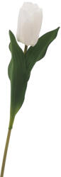  Szálas - Tulipán (48cm) - Fehér #1