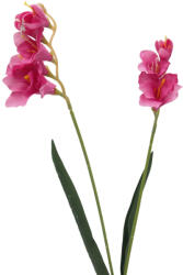  Szálas - Frézia (55cm) - Rózsaszín #1