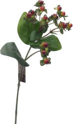  Szálas - Hypericum ág (56cm) - Barna #1