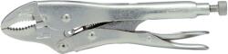 RAYA Cleşte cu blocare, 140 mm ST-28001A (ST-28001A) Cleste