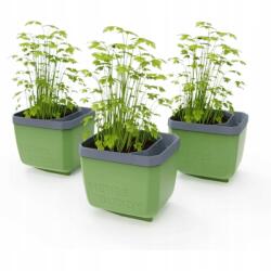 Gusta Garden Herbs Buddy önöntöző virágláda zöld, 3 db a csomagban (PGN-077)