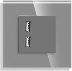 Luxion Priza USB Luxion gri cu rama din sticla, design modern si elegant (LX-MP057G-GY)