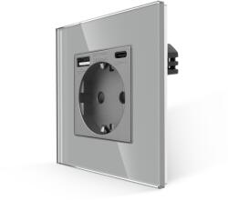 Luxion Priza Simpla + USB-A + USB-C LUXION cu Rama din Sticla (LX-MP010UG-GY)