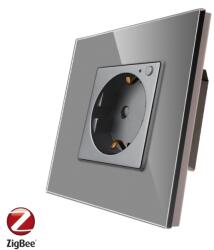 Luxion Priza inteligenta de perete Luxion Zigbee cu rama din sticla gri (LX-1ZT-SC001G-GY)