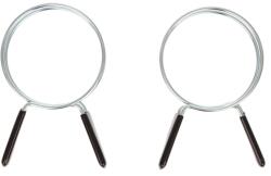 Fortune Colieră de furtun cu eliberare rapidă 100 mm 2 buc 20310284A (20310284A)