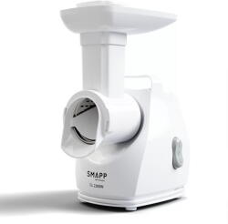 SMAPP 490.81