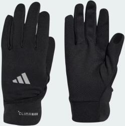 adidas Performance Manusi iarna Adidas Climawarm Convertible, marimea XL, negru (JM3078-XL)