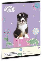 Ars Una Cute Animals Aussie juhászkutyás kockás füzet A5 - 27-32 (53635280)