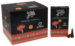 Tribal Soul BackFlow füstölők Fehér kopal 01 (TribalBF-01)
