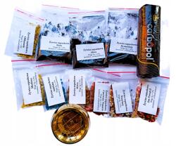  Gyanta füstölő szett 50g szén füstölő (set1)