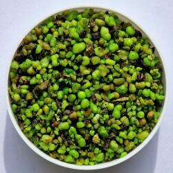  Aromagyanta tömjén szantálfa 15g (SNWOOD_GREEN)