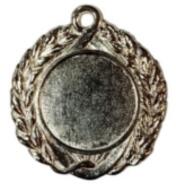 Szi-Zo Érem Z60/Ezüst 4cm