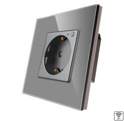 Luxion Priza inteligenta Wi-Fi Luxion cu monitorizare consum si rama din sticla gri (LX-1MP034MG-GY)
