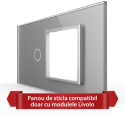 LIVOLO Panou din Sticla Livolo cu Intrerupator Simplu si Priza, Standard Italian 4M, Gri (VL-P901.E-4I)