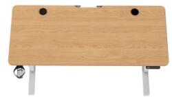 Techsend elektromosan állítható magasságú íróasztal wood (PEL1460/EL-LV1460WOOD) (PEL1460/EL-LV1460WOOD) - aqua