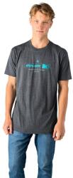 Bauer Tricou pentru bărbați FUSE Graphic Tee Grey XL