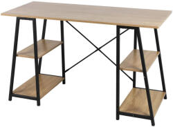 Intenso Compact íróasztal / számítógépasztal polcokkal - 120 x 50 cm