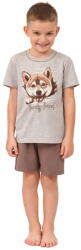 Italian Fashion pijama băieți SHIBA mânecă scurtă, pantaloni scurți, melanj bej/maro deschis: 122/128 (AAF-DPZ-SHIBCKKBB 122/128)