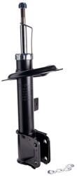 DR! VE+ amortizor DR! VE+ DP1610.10. 0037 (DP1610.10.0037)