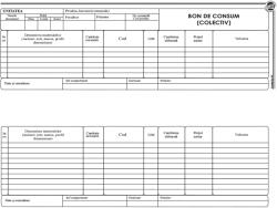  Bon consum colectiv, 2/A4, 100 file, fata-verso, 3 bucati/set (TI10527) - forit