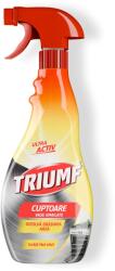 TRIUMF - CUPTOARE VASE EMAILATE (500+250) ml