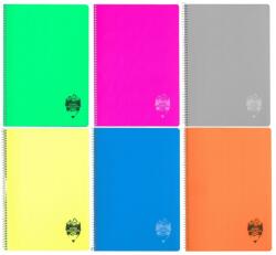 DACO Caiet A4 cu spira si coperta plastic Daco CT496AR, 96 file, 70g/mp, Matematica, Culori asortate (CT496AR)