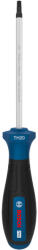 Bosch PRO Csavarhúzó TH20 x 100 mm (1600A039SL) - megatool