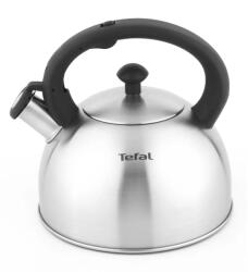 Tefal Ceainic pentru aragaz DUETTO+ N4210310 2, 5 l, argintiu, oțel inoxidabil, Tefal (TEF3110602014)