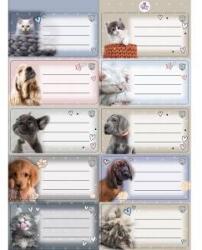 Beniamin Notebook stickers strip The Sweet Pets