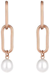 Freelook Cercei din Inox Freelook Jewelry Dama FRJ. 3.5010-4 (FRJ.3.5010-4)