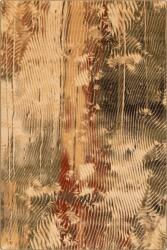 Agnella gyapjú szőnyeg isfahan ornan sahara - 80 x 120 cm
