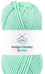  Fonal Hobbii Amigo Chunky Mint color 29 (633020)