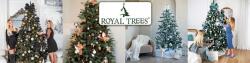 SPRINGOS Ct0188 premium caucasian spruce 240 cm (CT0188)