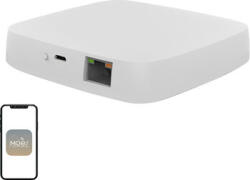 Moes Gateway ZigBee/Ethernet MOES ZHUB (ZHUB-MS)