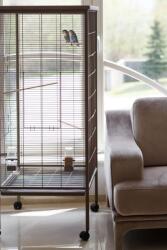 Inter-Zoo Pet Products Colivie pentru păsări Big Bird Cage Glamour - 60 x 60 x 151, 5 cm