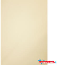  Karton kétoldalas (50x70) 225g Sahara/homok barna (2114) (BAR_023300264)