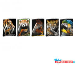  Füzet BLASETTI 8439 ANIMAL A/5 80g 42l sima /10db/csomag/ (BAR_150273976)