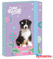  Füzetbox ARS UNA A/5 Cute animals-Aussie 5528 (26) (BAR_252030119)