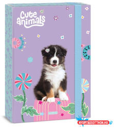  Füzetbox ARS UNA A/4 Cut animals-Aussie 5528 (26) (BAR_252020112)