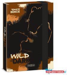  Füzetbox ARS UNA A/5 Wild in the dark 5543 (26) (BAR_252030113)